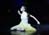 créations pour d'autres compagnies - A MIDSUMMER NIGHT’S DREAM